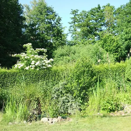 Ostsee Traum Ferienhaus *