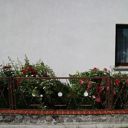 Ferienhaus Ostsee Traum